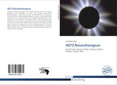 Copertina di 4073 Ruianzhongxue