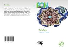 Bookcover of Tehsildar