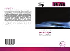 Bookcover of Antikatalyse