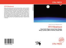 Buchcover von 3513 Quqinyue