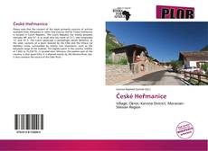 Bookcover of České Heřmanice