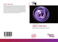 Bookcover of (9061) 1992 WC3