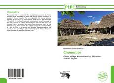 Portada del libro de Chomutice