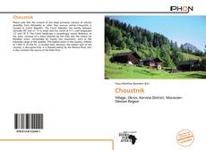 Portada del libro de Choustník