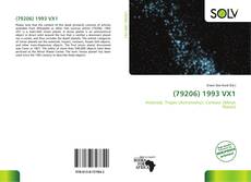 Bookcover of (79206) 1993 VX1