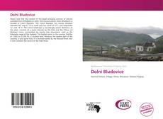 Bookcover of Dolní Bludovice