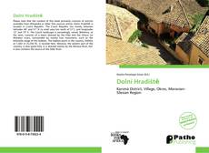 Bookcover of Dolní Hradiště