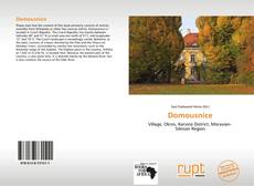 Buchcover von Domousnice