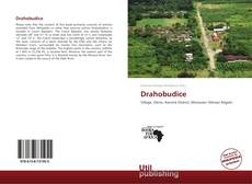 Couverture de Drahobudice