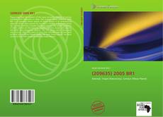 Copertina di (209635) 2005 BR1