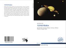 Couverture de 13743 Rivkin