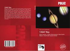 Bookcover of 13647 Rey