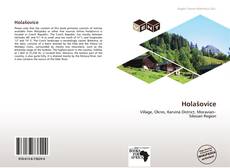 Buchcover von Holašovice