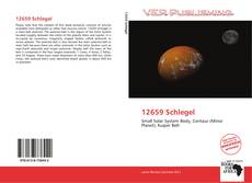 12659 Schlegel kitap kapağı