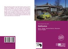 Capa do livro de Holčovice 