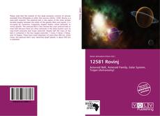 Buchcover von 12581 Rovinj