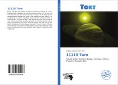 Borítókép a  11119 Taro - hoz