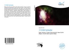 Portada del libro de 11338 Schiele