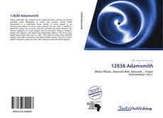 12838 Adamsmith kitap kapağı