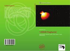 Bookcover of 120040 Pagliarini