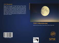 Bookcover of 12013 Sibatahosimi