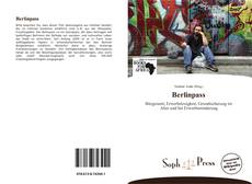 Berlinpass kitap kapağı