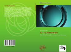 Bookcover of 17119 Alexisrodrz