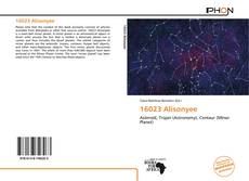 Bookcover of 16023 Alisonyee