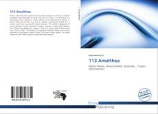 113 Amalthea kitap kapağı