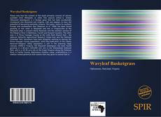 Bookcover of Wavyleaf Basketgrass