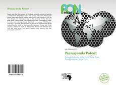 Bookcover of Wawayanda Patent