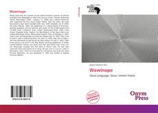 Portada del libro de Wawinape