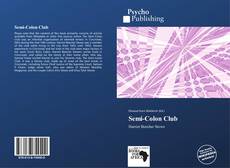 Bookcover of Semi-Colon Club