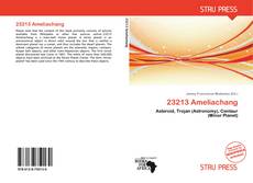 Buchcover von 23213 Ameliachang