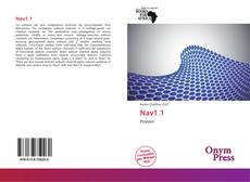 Portada del libro de Nav1.1