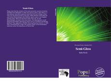 Portada del libro de Semi-Gloss