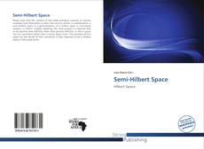 Copertina di Semi-Hilbert Space