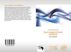 Buchcover von Semi-implicit Euler Method