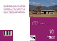 Capa do livro de Lubnice 