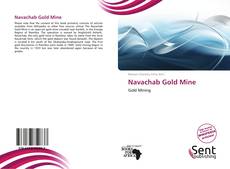 Capa do livro de Navachab Gold Mine 