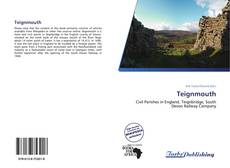 Capa do livro de Teignmouth 