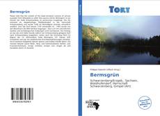 Capa do livro de Bermsgrün 