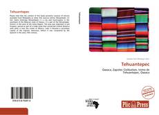 Capa do livro de Tehuantepec 