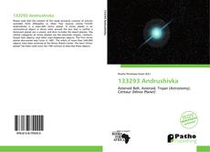 Bookcover of 133293 Andrushivka