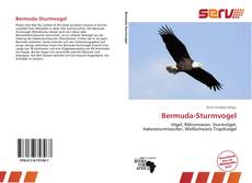 Bookcover of Bermuda-Sturmvogel