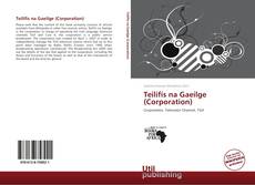 Teilifís na Gaeilge (Corporation)的封面