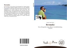 Bermudas kitap kapağı