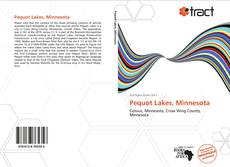 Portada del libro de Pequot Lakes, Minnesota