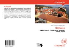 Buchcover von Karlovice