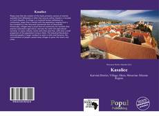 Couverture de Kasalice